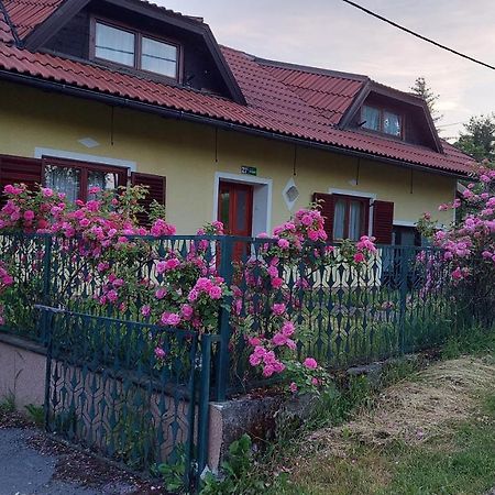 Kuca Za Odmor ,Erdelj 21 B Apartment Generalski Stol Exterior photo