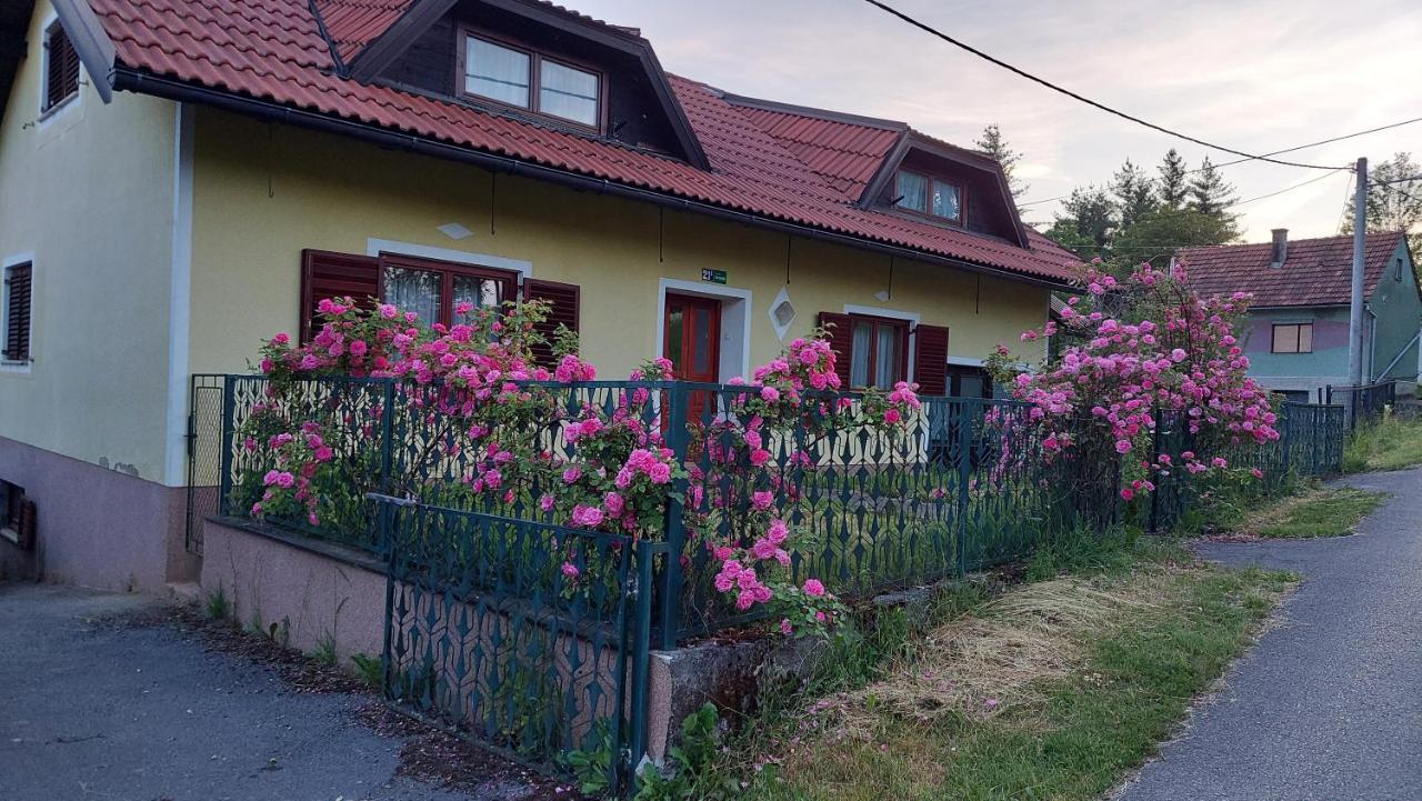 Kuca Za Odmor ,Erdelj 21 B Apartment Generalski Stol Exterior photo