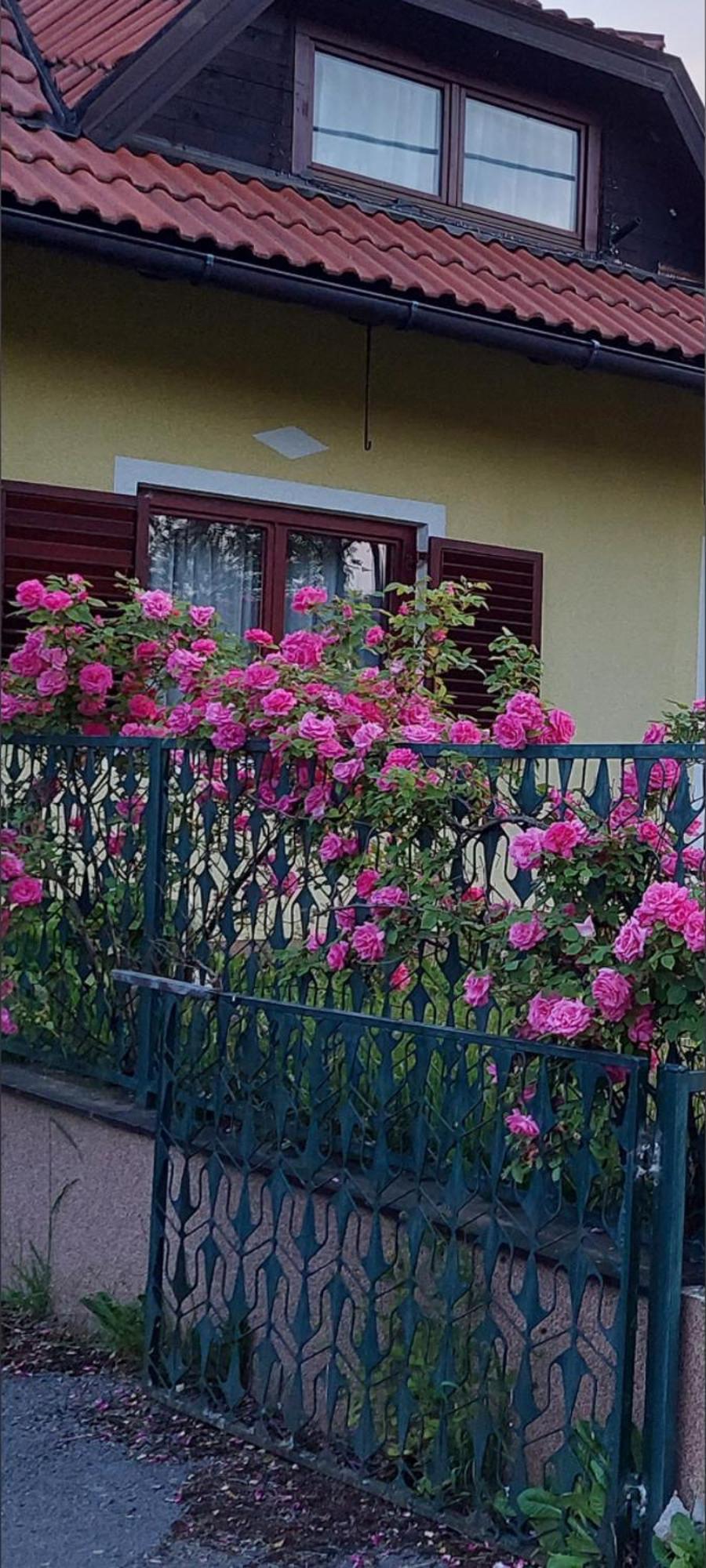 Kuca Za Odmor ,Erdelj 21 B Apartment Generalski Stol Exterior photo